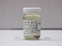 藏品(六線黑鱸)的圖片